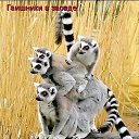 ���� ((������)), ������ �������� - ��������� 17 ��� 2013 � ������ �Foto Sympathy�