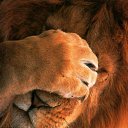 ���� ������, ���������, 46 ��� - ��������� 9 ���� 2013 � ������ ���� ����������