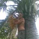 ���� �����, ����, 72 ���� - ��������� 17 ������ 2011