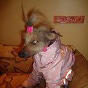 ���� ���������, ������, 44 ���� - ��������� 20 �������� 2010