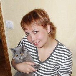 �������, ���������, 58 ���