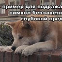 ���� ������, ������������, 50 ��� - ��������� 14 �������� 2012 � ������ ����� ��� ������������