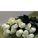 ���� ���, �������, 33 ���� - ��������� 1 ������� 2010 � ������ �~�����~�