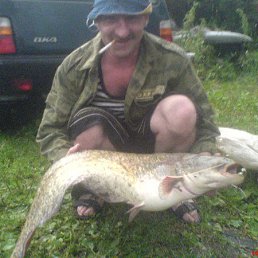 ���� ������, ������, 53 ���� - ��������� 23 ���� 2013