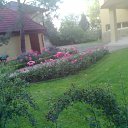 ���� ���������, ����, 65 ��� - ��������� 22 ���� 2012 � ������ ���� ����������