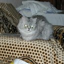 ���� Svetlanas, ���������, 47 ��� - ��������� 7 ���� 2010 � ������ ���� �������