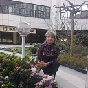 ���� ������, ����, 58 ��� - ��������� 16 ������ 2013 � ������ ���� ����������