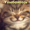 ���� ����, ��������, 47 ��� - ��������� 8 ����� 2012 � ������ ���� ����������