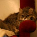  ,  -  3  2010    ,, ۻ