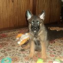 ���� �����, ������, 45 ��� - ��������� 8 ������� 2011 � ������ ���� ���