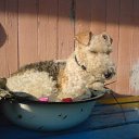 ���� ������, ������ - ��������� 4 ���� 2013 � ������ ����� ��� ������������