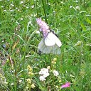 ���� ������, ������ - ��������� 13 ������� 2012 � ������ �������