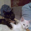 ���� Nadya, ����, 37 ��� - ��������� 5 ������� 2010 � ������ ����������������)))�