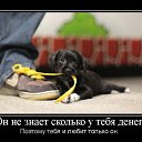 ���� ����, ����, 50 ��� - ��������� 18 ������ 2010