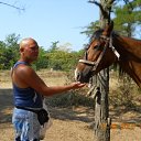 ���������� � �������� �� ������� �PetLove�