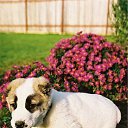 ���� ������, �����, 52 ���� - ��������� 17 �������� 2011 � ������ �������