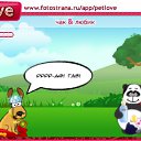 ���� ���������, ����, 72 ���� - ��������� 22 ������� 2010 � ������ �PetLove�