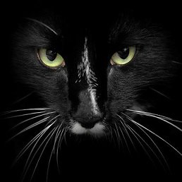 ���� Nike, ������������, 45 ��� - ��������� 22 ������ 2013