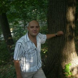 ���������, ������������, 46 ���