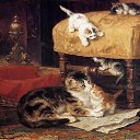 ���� Irina ��������, ����� - ��������� 16 ����� 2013 � ������ ������ ��������