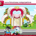  , , 38  -  7  2010   PetLove