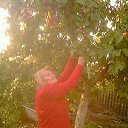 ���� �����, ����, 77 ��� - ��������� 28 �������� 2012