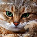 ���� ˸��, ���������, 52 ���� - ��������� 27 ������� 2011 � ������ ������
