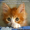 ���� �����, ���, 48 ��� - ��������� 12 ������� 2012