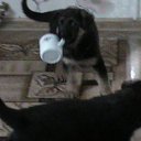 ���� �������, ����-���������, 72 ���� - ��������� 21 ������ 2012