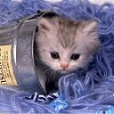 ���� ������, �������������-���������� - ��������� 5 �������� 2012 � ������ �������