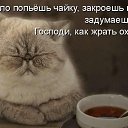 ���� ������, ������, 47 ��� - ��������� 24 ������ 2012 � ������ ���� ����������