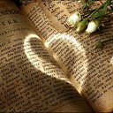 ���� ����), ���������� - ��������� 16 ������� 2009 � ������ �����