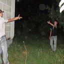  Seign, , 32  -  31  2012    