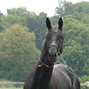 ���� �����, ������, 60 ��� - ��������� 26 ������ 2011