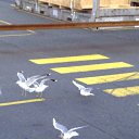 ���� Valeri, ��������, 52 ���� - ��������� 20 ������ 2011 � ������ �������