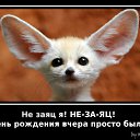 ���� �������, ���������, 42 ���� - ��������� 2 ����� 2012