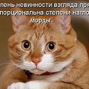 ���� ������, �����-��������� - ��������� 25 ���� 2013 � ������ ������� �������