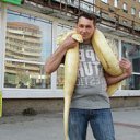 ���� ������, ������, 56 ��� - ��������� 26 ��� 2012 � ������ �������