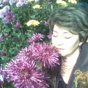 ���� Zarema ����������, ������� - ��������� 22 ������� 2011 � ������ ���� ����������