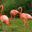 ���� �����, ����� - ��������� 24 ������ 2010 � ������ ��������� ������