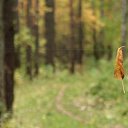 ���� �������, ������ - ��������� 28 �������� 2010 � ������ �������� ���� :)))�