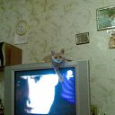 ���� ���������, ���������, 24 ���� - ��������� 2 ������� 2010