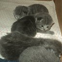 ���� ����_����� ������ ���� ���-��..., �������� - ��������� 28 ���� 2013 � ������ ������� � ��