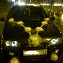 ���� ����, ������, 42 ���� - ��������� 7 ����� 2011 � ������ ���������� ������