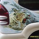 ���� ��������� �������, ������, 58 ��� - ��������� 14 ������ 2012 � ������ ���� ����������