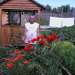 ���� Aleksandr, �������, 64 ���� - ��������� 11 ������� 2012