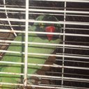 ���� ������, ����� - ��������� 19 ������ 2012 � ������ ���� ����������