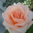 ���� �������, ������, 57 ��� - ��������� 14 ���� 2012 � ������ ���� ������