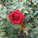 ���� �����, ������ - ��������� 5 ������� 2012 � ������ �������
