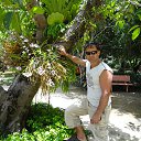 ���� ����, ����������, 43 ���� - ��������� 10 ���� 2013 � ������ �������� 2013�